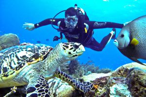 buzo apreciando una tortua y un pez en arrecifes de Cozumel