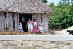 Casas tradicionales mayas estilo chosas