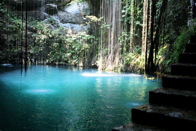 Caida de agua en cenote de la Riviera Maya