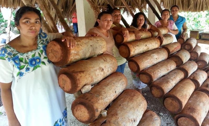 mujeres maya con jobones en cobá Santuario de la Abeja Melipona