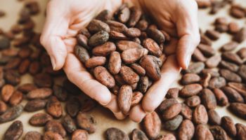 cacao-grano-manos-nina-cacao-aromatico-concepto-chocolate_8119-2074