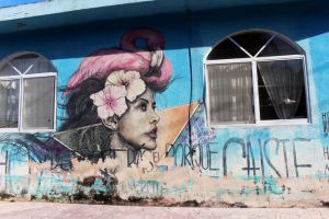 arte cellejero en holbox