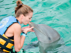 beso de delfin en cancun