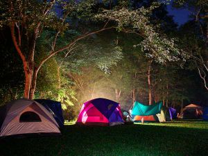 casas de camping en la jungla de noche