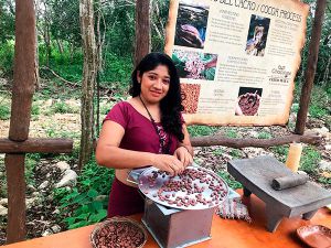 experiencia de cacao en Tulum