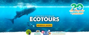 tiburon ballena tours