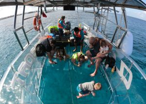 niños disfrutan del bote de cristal