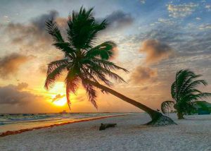 playa paraiso en tulum