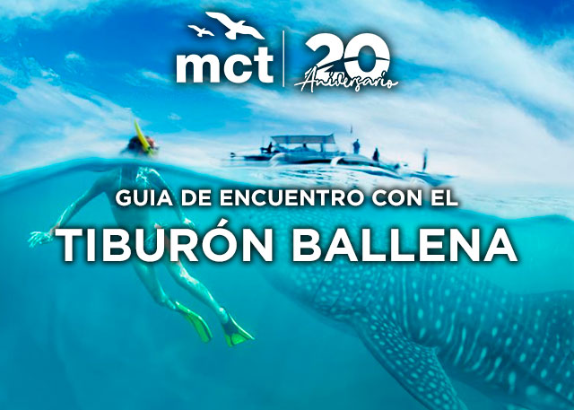 guia-de-encuentro-con-el-tiburon-ballena