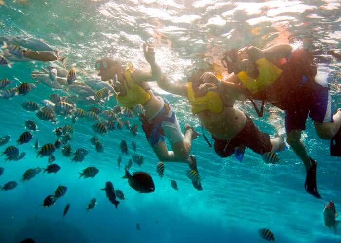 snorkel en cozumel