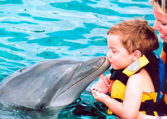 garrafon delfines isla mujeres