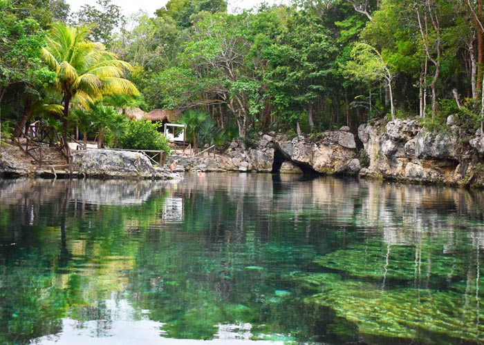 cenote casa tortuga tulum