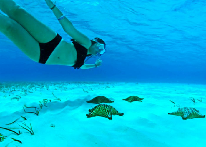 snorkel el cielo cozumel