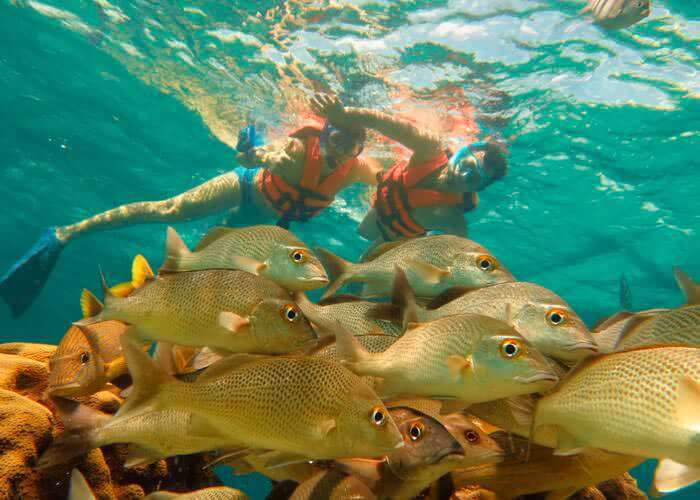 snorkel en cancun