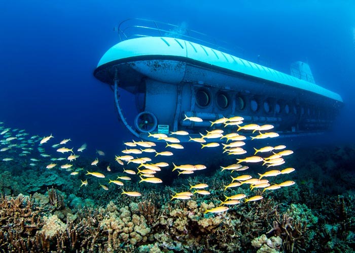 tour de submarino en cozueml